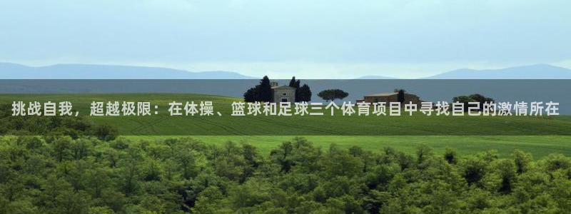 挑战自我，超越极限：在体操、篮球和足球三个体育项目中寻找自己的激情所在