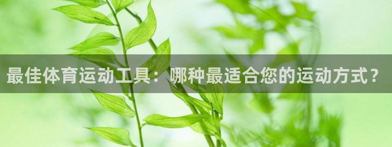 最佳体育运动工具：哪种最适合您的运动方式？