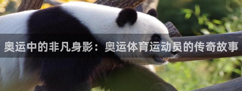 奥运中的非凡身影：奥运体育运动员的传奇故事